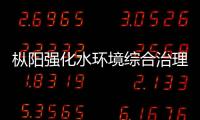 樅陽強化水環境綜合治理