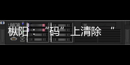 樅陽：“碼”上清除 “掃”走群眾煩心事