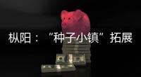 樅陽：“種子小鎮”拓展產業振興新“芯片”
