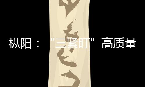 樅陽：“三緊盯”高質量發展主題開展監督
