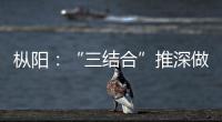 樅陽：“三結合”推深做實深化“三個以案”警示教育
