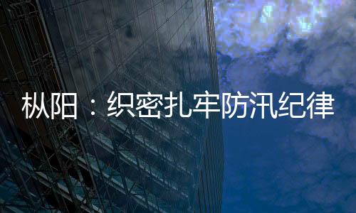 樅陽：織密扎牢防汛紀律“屏障”