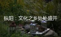 樅陽：文化之鄉(xiāng)處處盛開文化之花