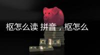 樞怎么讀 拼音，樞怎么讀