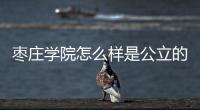 棗莊學院怎么樣是公立的二本嗎（棗莊學院是一本還是二本）