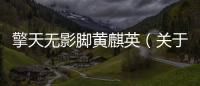 擎天無影腳黃麒英（關于擎天無影腳黃麒英的基本情況說明介紹）