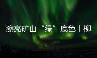 擦亮礦山“綠”底色丨柳工首臺純電動剛性車交付全球水泥礦山巨頭！