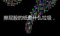 擦屁股的紙是什么垃圾，干垃圾（被污染的可回收物）