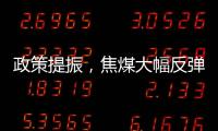政策提振，焦煤大幅反彈