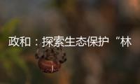 政和：探索生態保護“林長+三長”機制