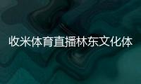 收米體育直播林東文化體育綜合體業(yè)態(tài)