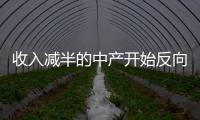 收入減半的中產(chǎn)開(kāi)始反向換房自救：大戶(hù)型換成小戶(hù)型如何操作？
