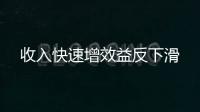 收入快速增效益反下滑