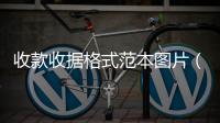 收款收據(jù)格式范本圖片（收款收據(jù)格式）