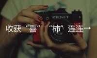 收獲“喜”“柿”連連→看紫禁城里紅彤彤的吉慶果