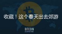 收藏！這個(gè)春天出去郊游，有這10首歌就夠了！快去加到喜歡列表里