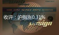 收評(píng)：滬指漲0.31% 三千點(diǎn)再度得而復(fù)失