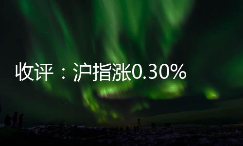 收評：滬指漲0.30%報2142點