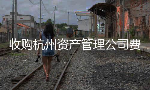 收購杭州資產管理公司費用