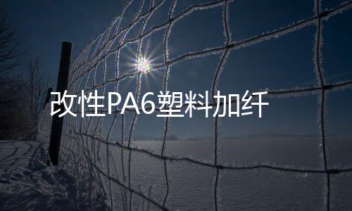 改性PA6塑料加纖