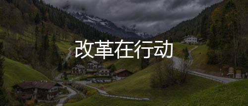 改革在行動