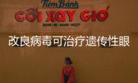 改良病毒可治療遺傳性眼病