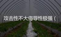 攻擊性不大侮辱性極強（攻擊淘寶）
