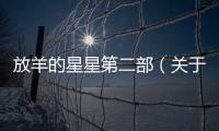 放羊的星星第二部（關于放羊的星星第二部的基本情況說明介紹）