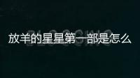 放羊的星星第一部是怎么回事?