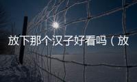 放下那個漢子好看嗎（放下那個漢子）