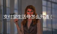 支付寶生活號怎么開通（支付寶生活號）