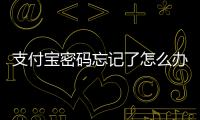 支付寶密碼忘記了怎么辦（支付寶密碼忘記怎么重新設置）