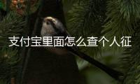 支付寶里面怎么查個人征信，如何用支付寶查到個人的征信情況