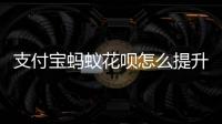 支付寶螞蟻花唄怎么提升額度啊，支付寶螞蟻花唄怎么提升額度