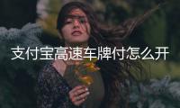 支付寶高速車牌付怎么開通，支付寶開通高速信用車牌付