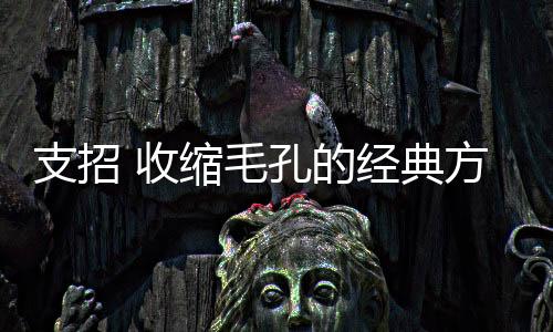支招 收縮毛孔的經典方法