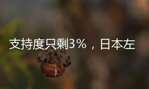 支持度只剩3％，日本左派勢力為何淪為「萬年在野黨」？