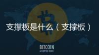 支撐板是什么（支撐板）