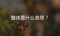 整體是什么意思？