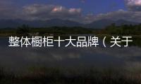 整體櫥柜十大品牌（關于整體櫥柜十大品牌的基本情況說明介紹）