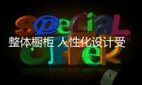 整體櫥柜 人性化設(shè)計(jì)受青睞