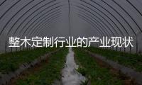 整木定制行業的產業現狀與行業數據