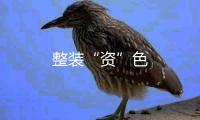整裝“資”色