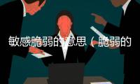 敏感脆弱的意思（脆弱的意思）