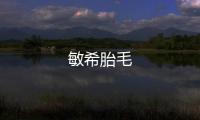 敏希胎毛