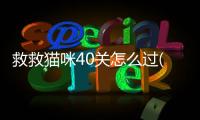 救救貓咪40關怎么過(救救貓貓)