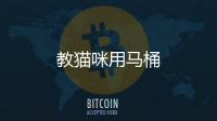 教貓咪用馬桶