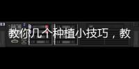 教你幾個種植小技巧，教你幾個黑曜石消磁的小技巧