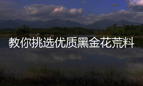 教你挑選優質黑金花荒料