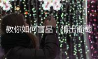 教你如何盲品，猜出葡萄品種（三）